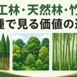 人工林・天然林・竹林を比較し、林種から山林価値を見る記事のサムネイル