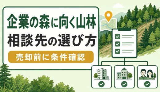 遊休山林を企業の森にする条件｜相談先と活用判断の順番
