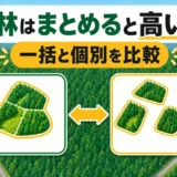 複数の山林を一括売却と個別売却で比較する判断イメージ