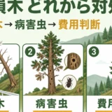 山林の枯損木を危険木、病害虫疑い、その他の順に判断するサムネイル